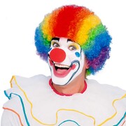 Rainbow Clown Wig - Adult