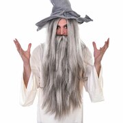 Grey Wizard Wig & Beard Set