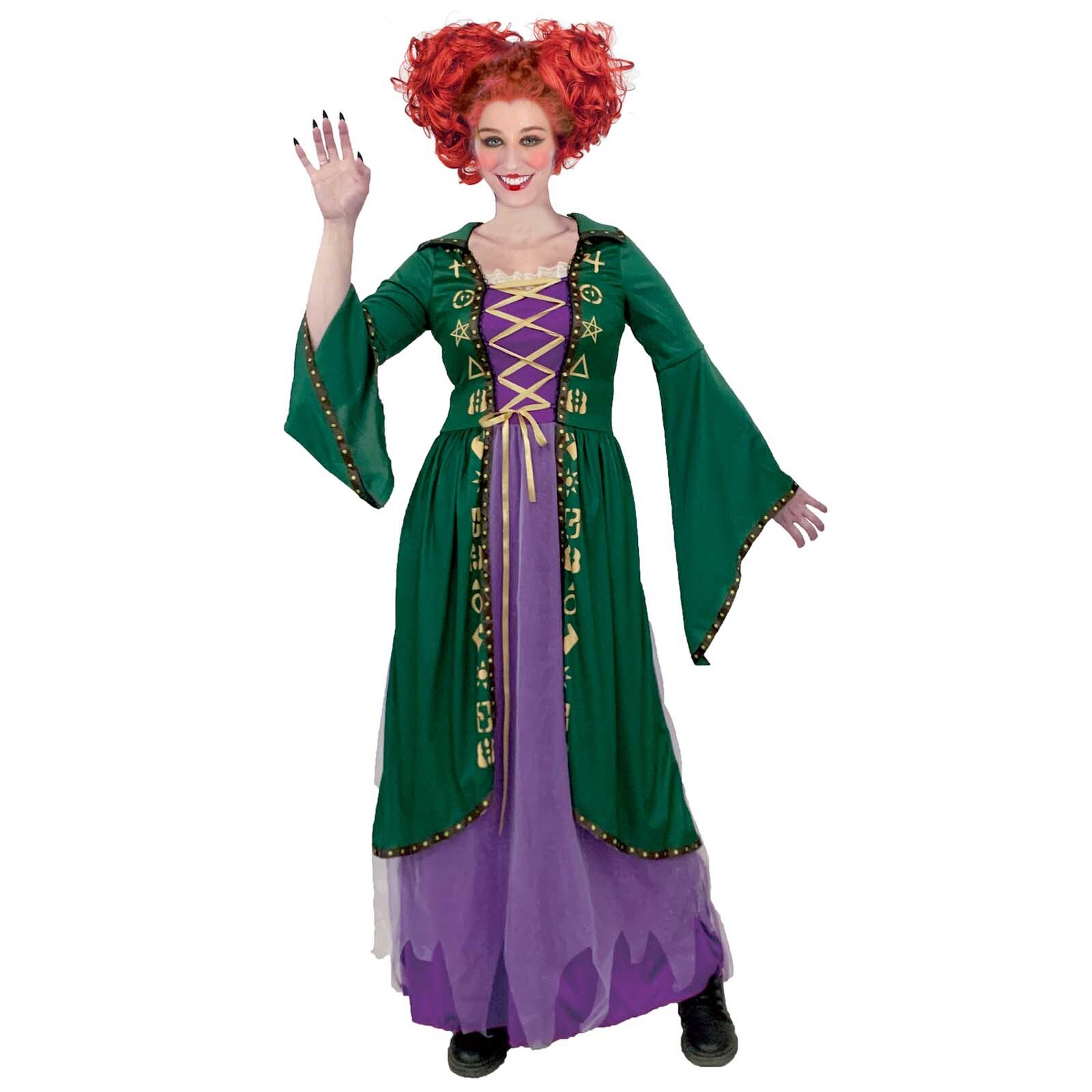 Put a Spell on You Witch Costume Adult Halloween Hocus Pocus Green Purple  Dress | eBay Australia