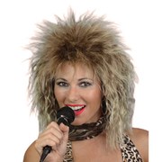 Tina Turner Wig