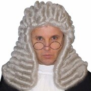 Deluxe Grey Judge Wig