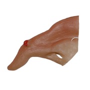 Witch Nose with Wart