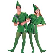 Peter Pan/Elf Costume - Adult