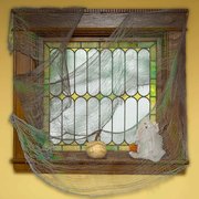 Grey Green Gauze Drape Curtain