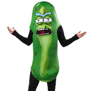 Pickle Rick (Rick & Morty) Costume - Adult One Size