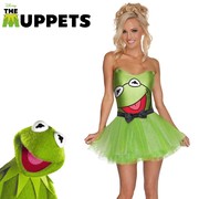Secret Wishes Kermit Costume - Womens