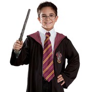 Harry Potter Gryffindor Tie