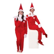 Elf on the Shelf Costume - Unisex Adult