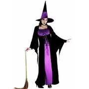 Wicked Witch Costume - Adult Plus