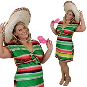 Mexican Dress Costume - Adult - Plus