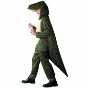 Dinosaur/Crocodile Costume - Child