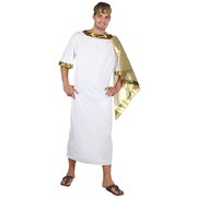 Ancient Man Greek Toga Costume - Adult