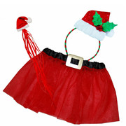 Girl's Christmas Dress Up Set - Santa Fairy