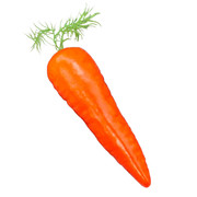 Bunny Carrot Plastic