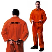 Jailbird Costume - Adult Standard