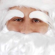 White Eyebrows