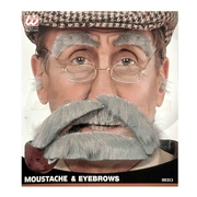 Old Man Grey Moustache & Eyebrows Set