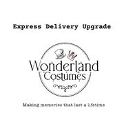 Express Delivery Upgrade Fee