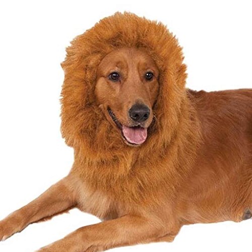 Lion's Mane Deluxe Pet Costume Accessory - One Size