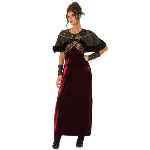 Medieval Lady Costume - Adult Small