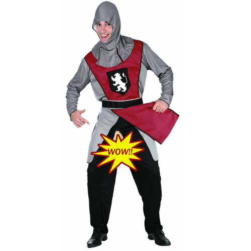 Ballsy Knight Costume - Adult Medium