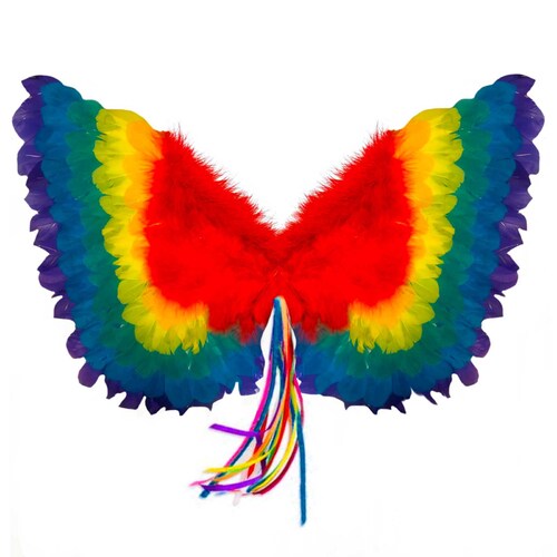 Rainbow Feather Wings Small