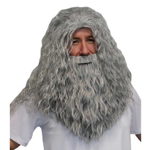 Grey Wizard Beard & Wig Set