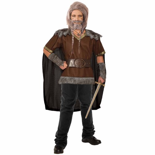 Viking Warrior Costume - Adult Standard