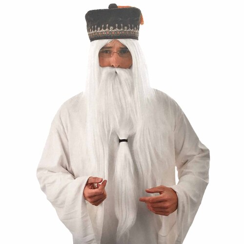 Wizard Wig & Beard Set - White
